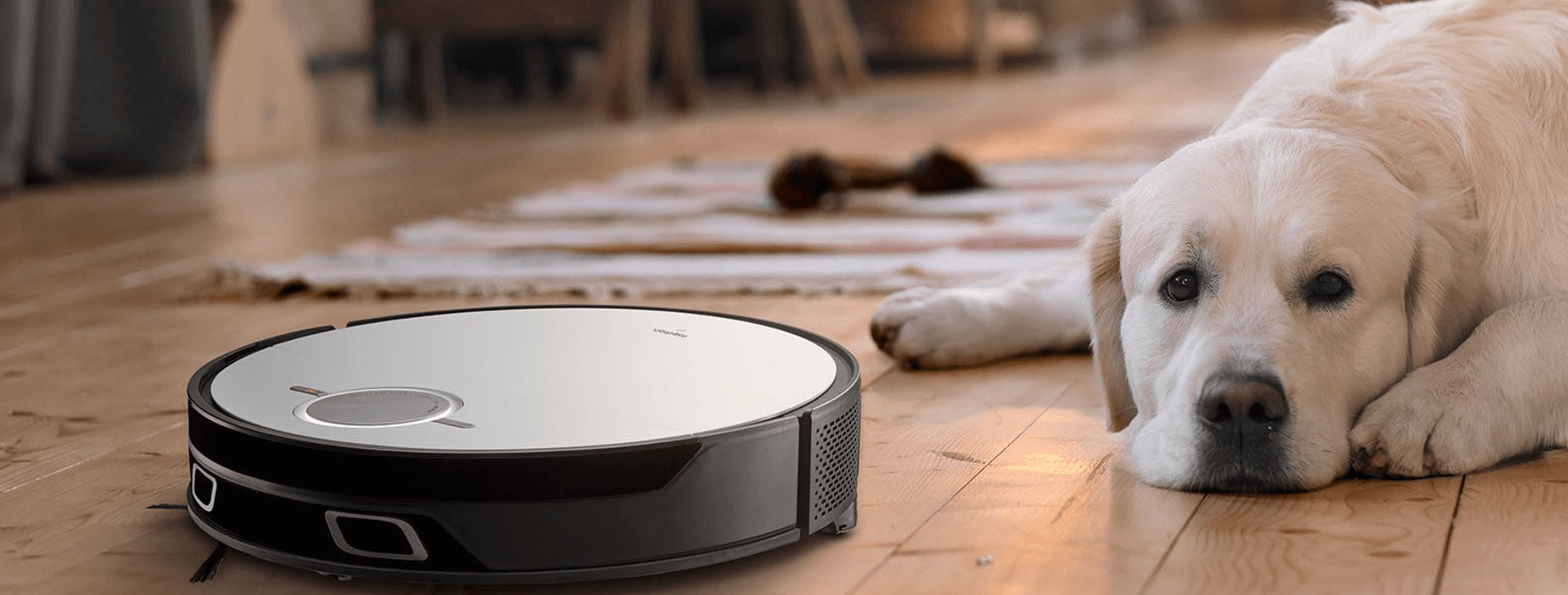 Placeholder for alt text